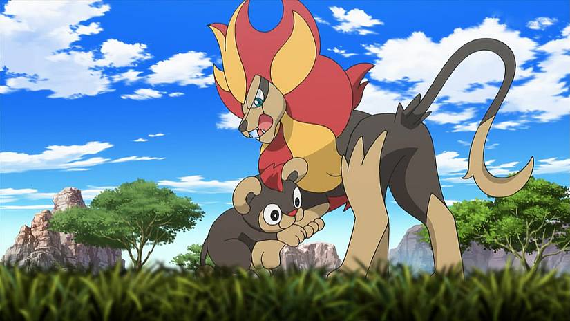 anipoke-pyroar-and-litleo