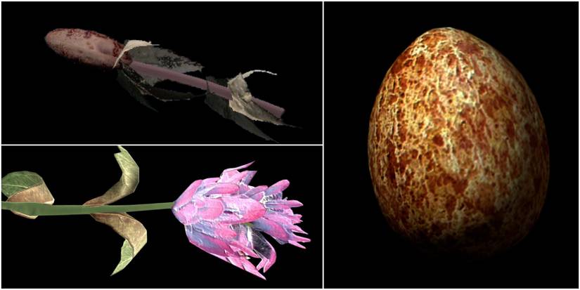 ashen grass pod, purple mountain flower, pine thrush egg