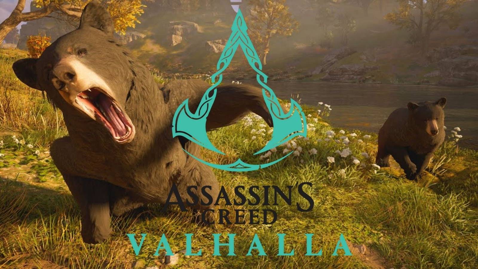 assassins creed valhalla how to get black bear fur