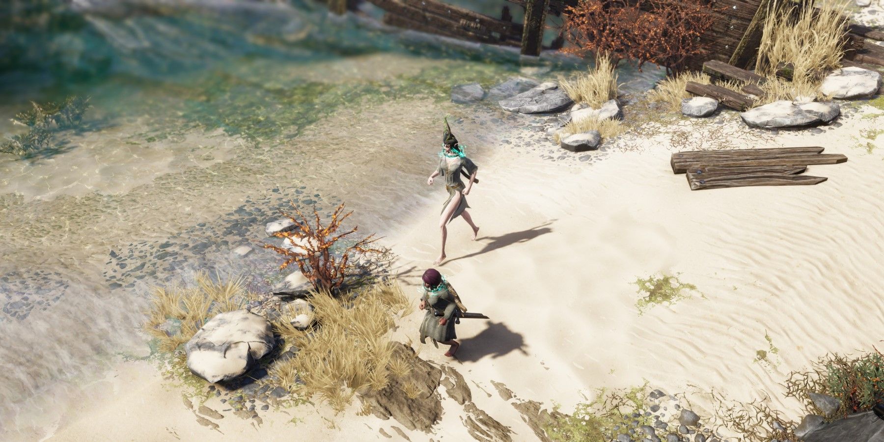 Two players on the beach in Divinity Original Sin 2