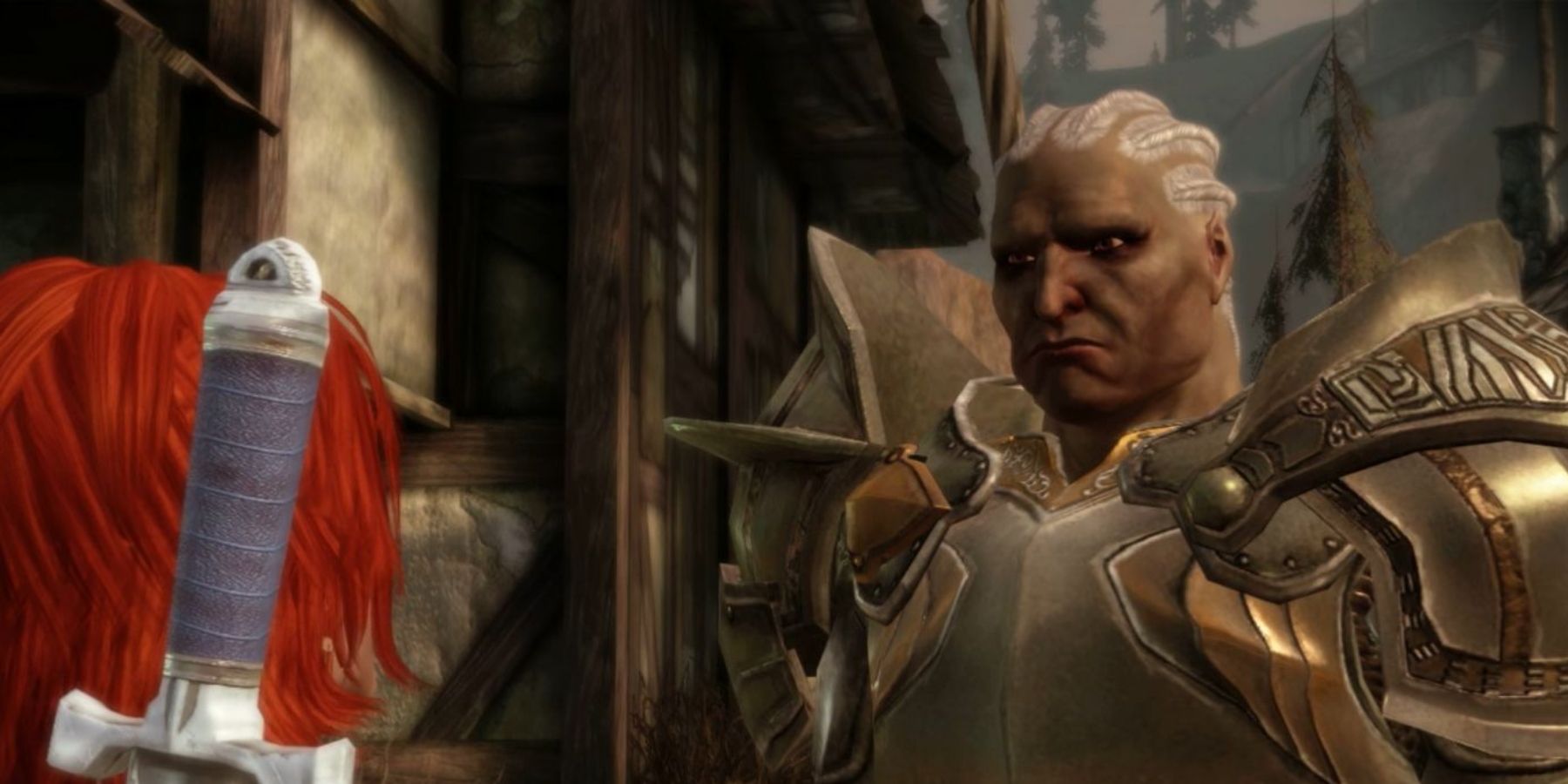 Sten staring at the player in Dragon Age: Origins