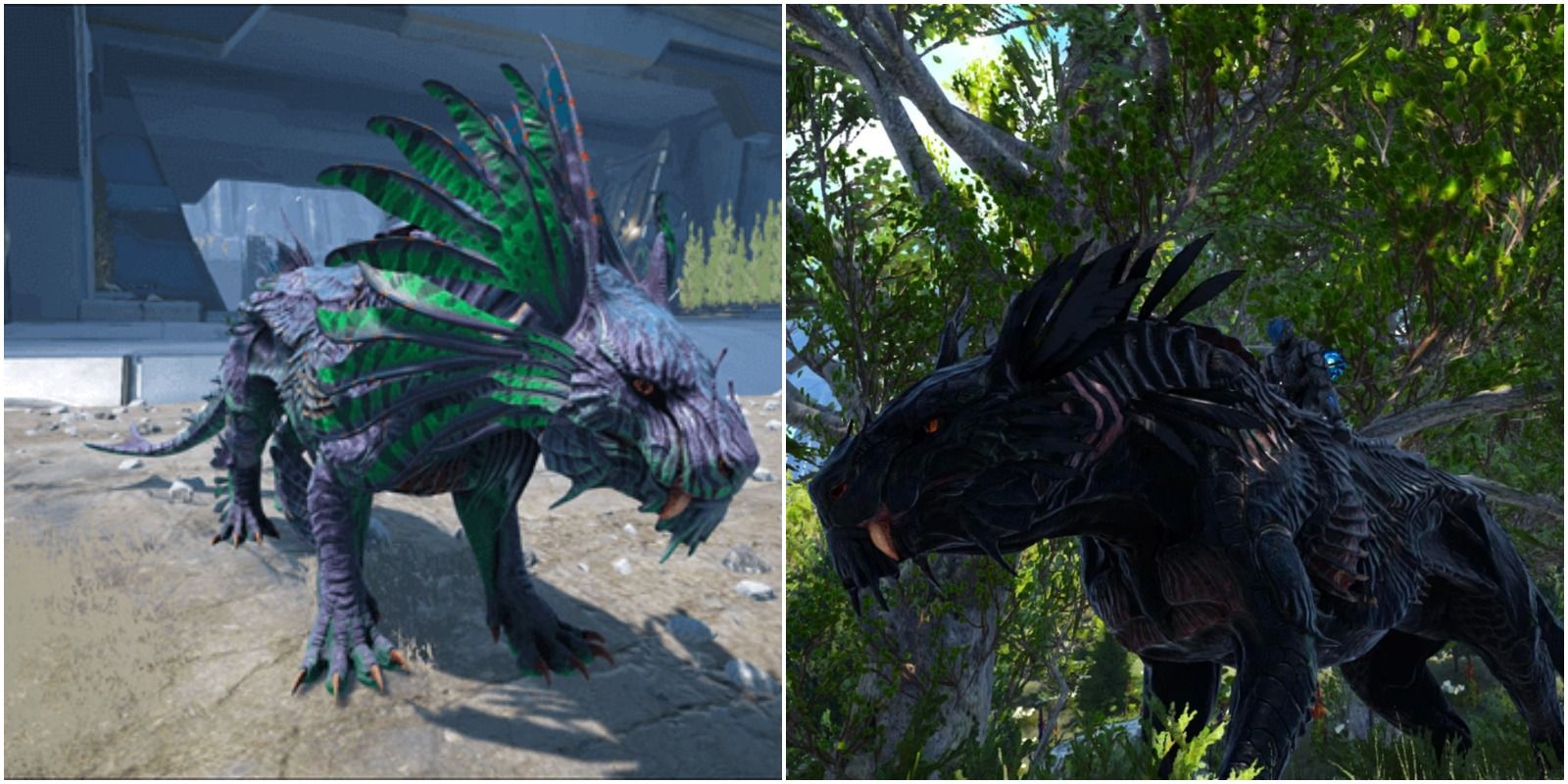 feature image ark survival evolved shadowmane guide blue and black shadowmanes in the game
