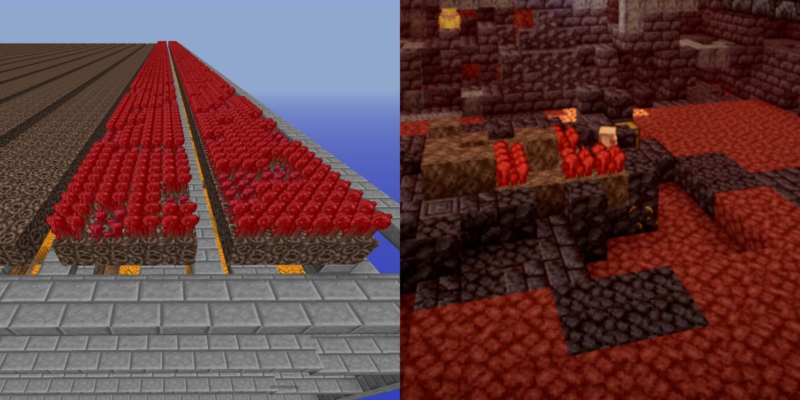 feature image minecraft nether wart grow guide nether wart farm in overworld and found in the nether