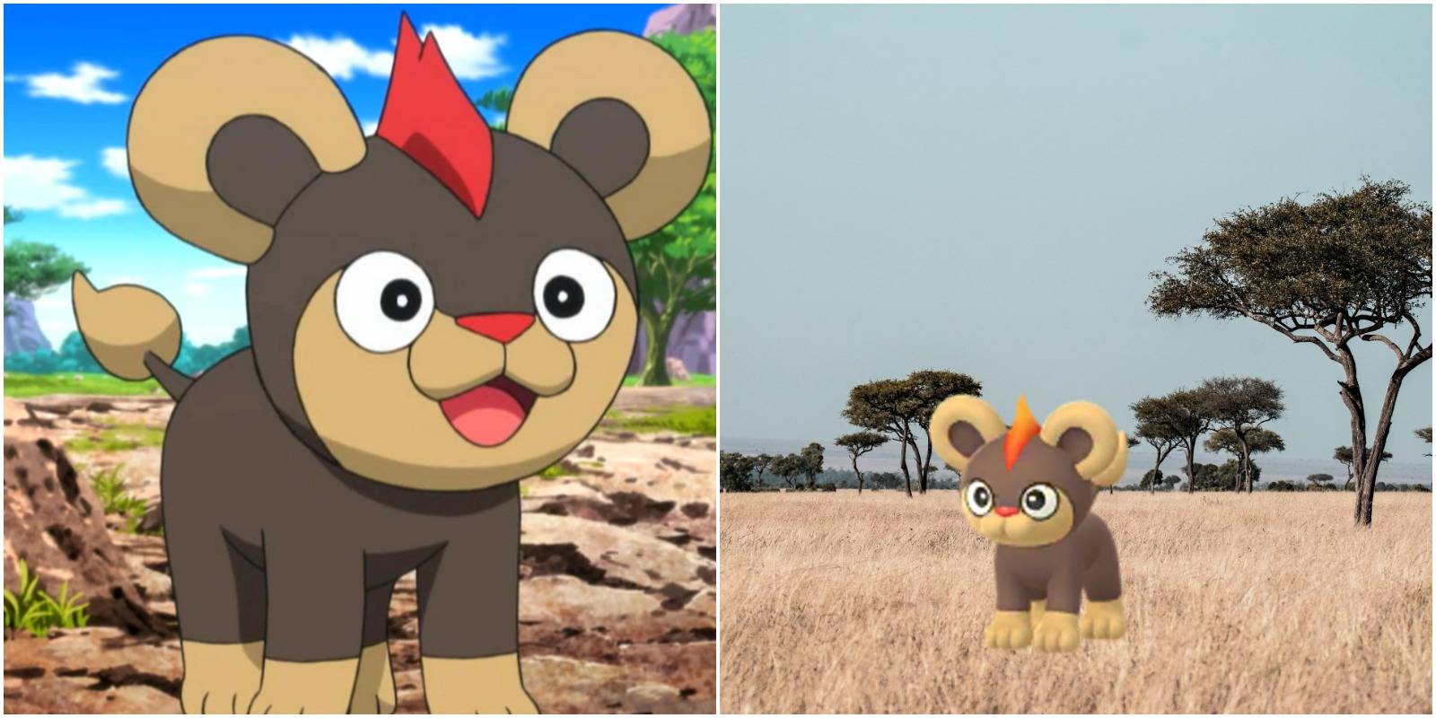feature image pokemon go litleo move guide litleo in the pokemon anime and in pokemon go in a savannah
