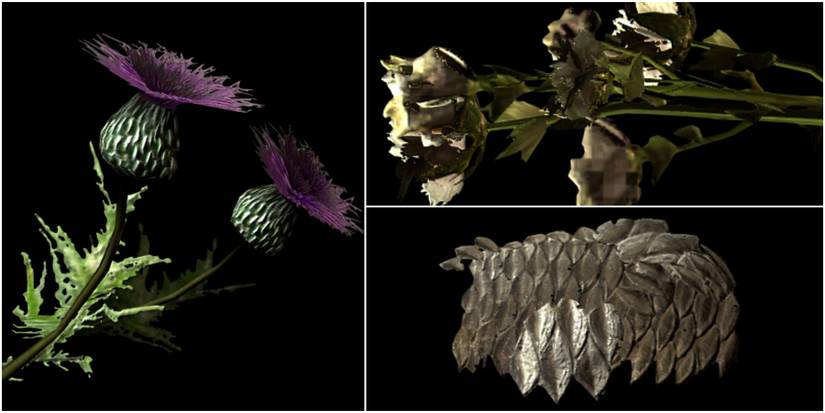 Thistle branch, tundra cotton, slaughterfish scales