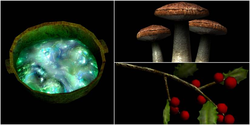 Spriggan sap, blisterwort, snowberries