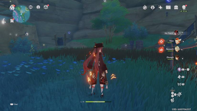 treasure hoarders chest