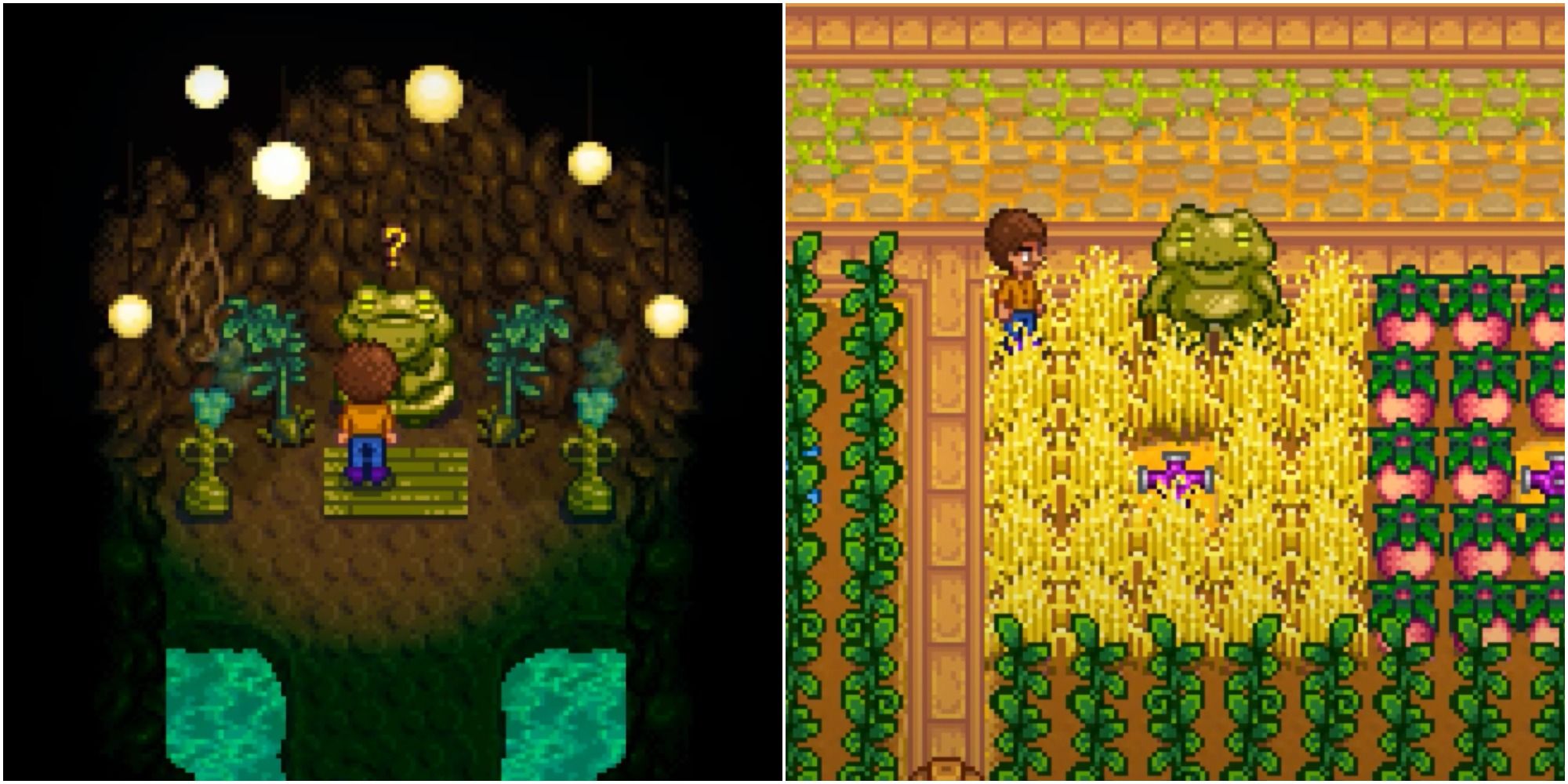 Слева: лягушка в своей пещере; справа: лягушка на ферме