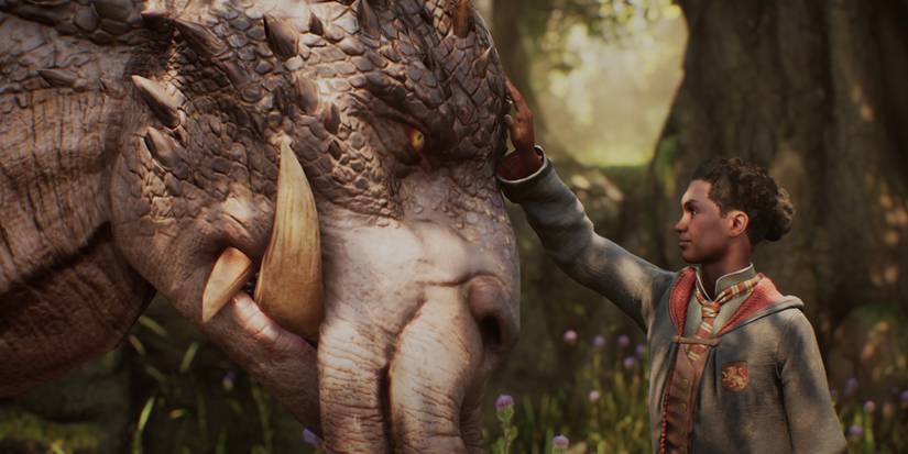 Graphorn Magical Beasts Hogwarts Legacy