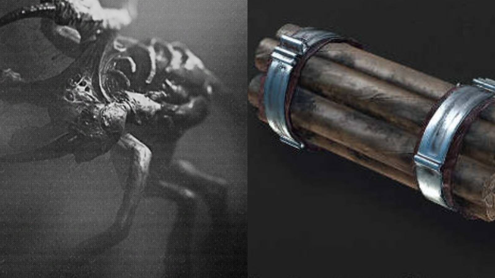 hunt spiderkill cover