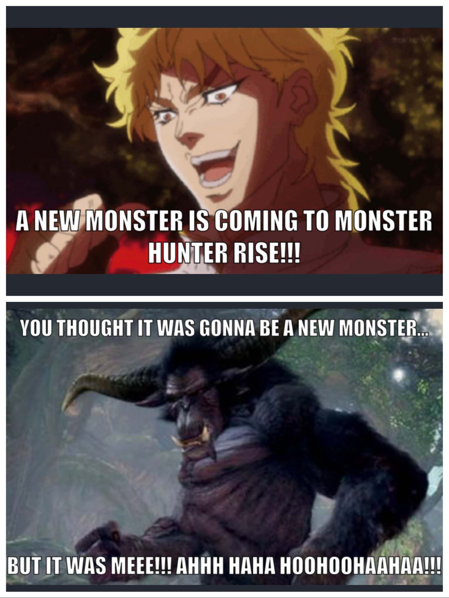 jojo's bizarre adventure, monster hunter rise meme Rajang
