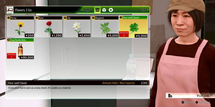 lost-judgment-rose-flowers-2-go-items