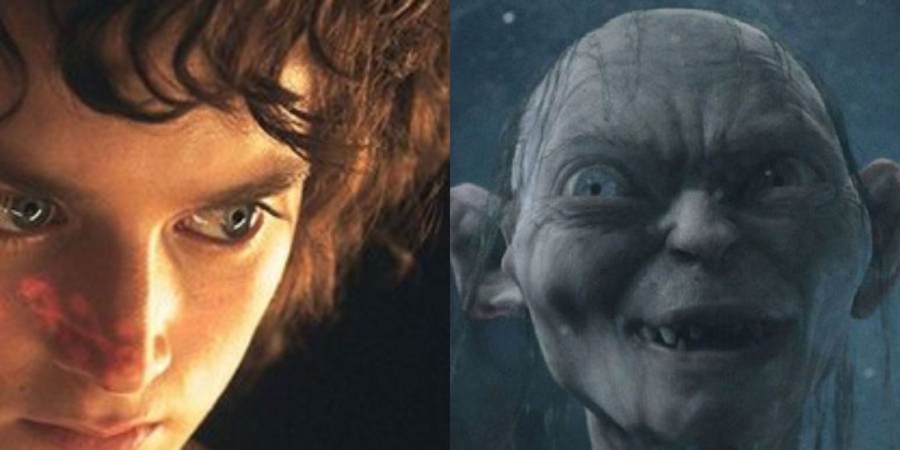 Frodo and Gollum in Lord of the Rings (LOTR) 