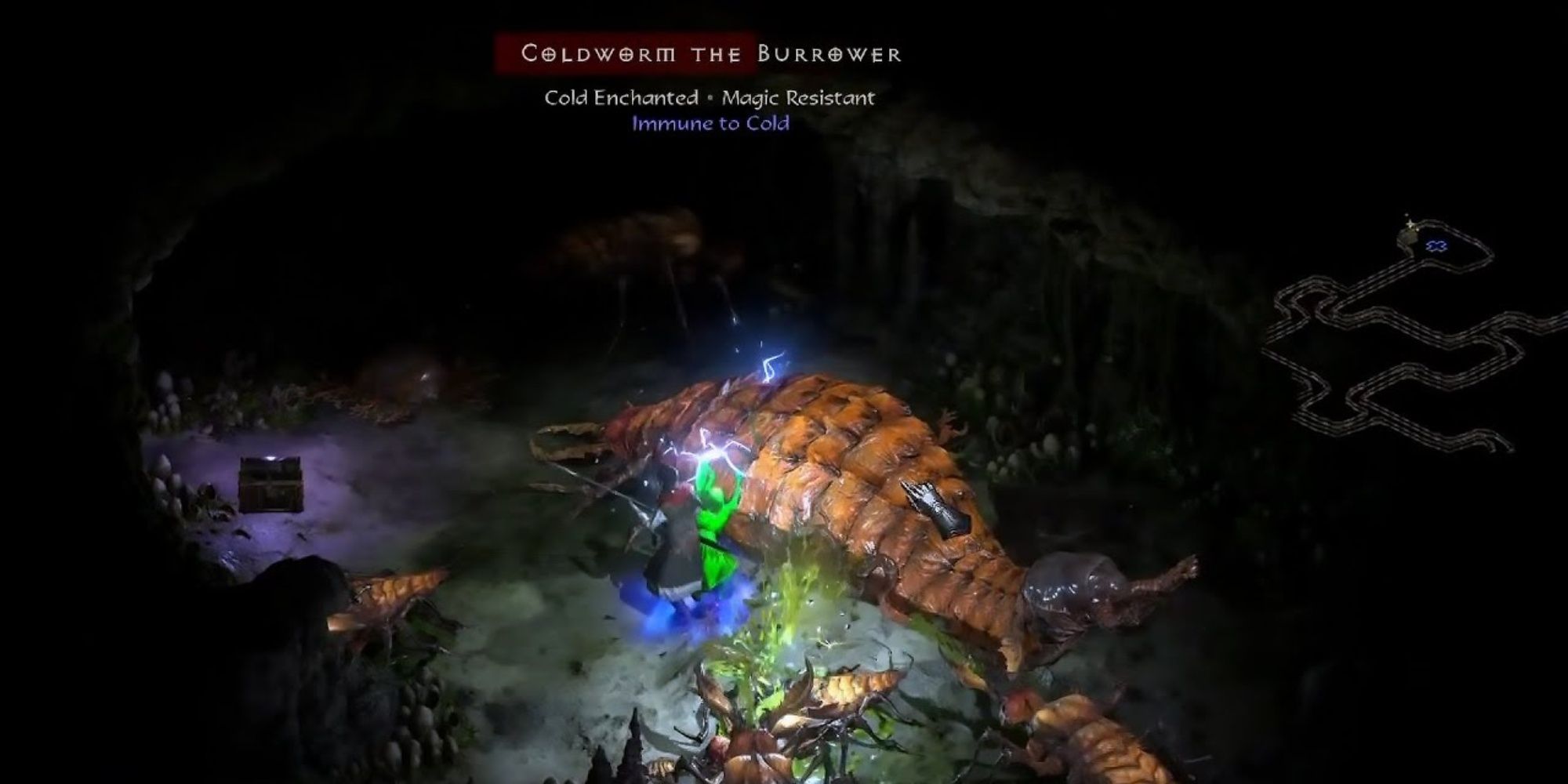 Diablo 2 Resurrected Fighting Coldworm The Maggot Queen