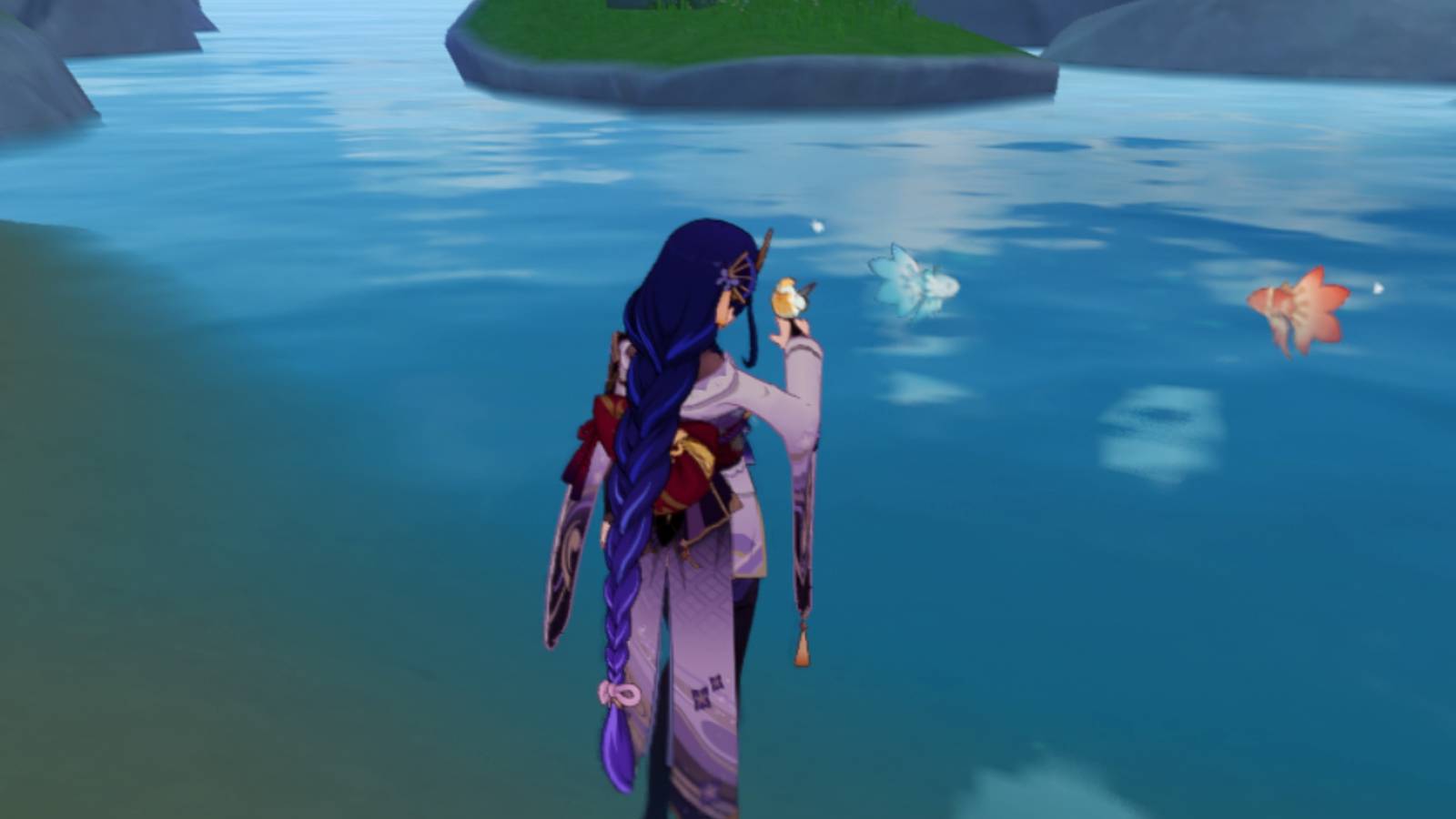 medaka windrise and raiden