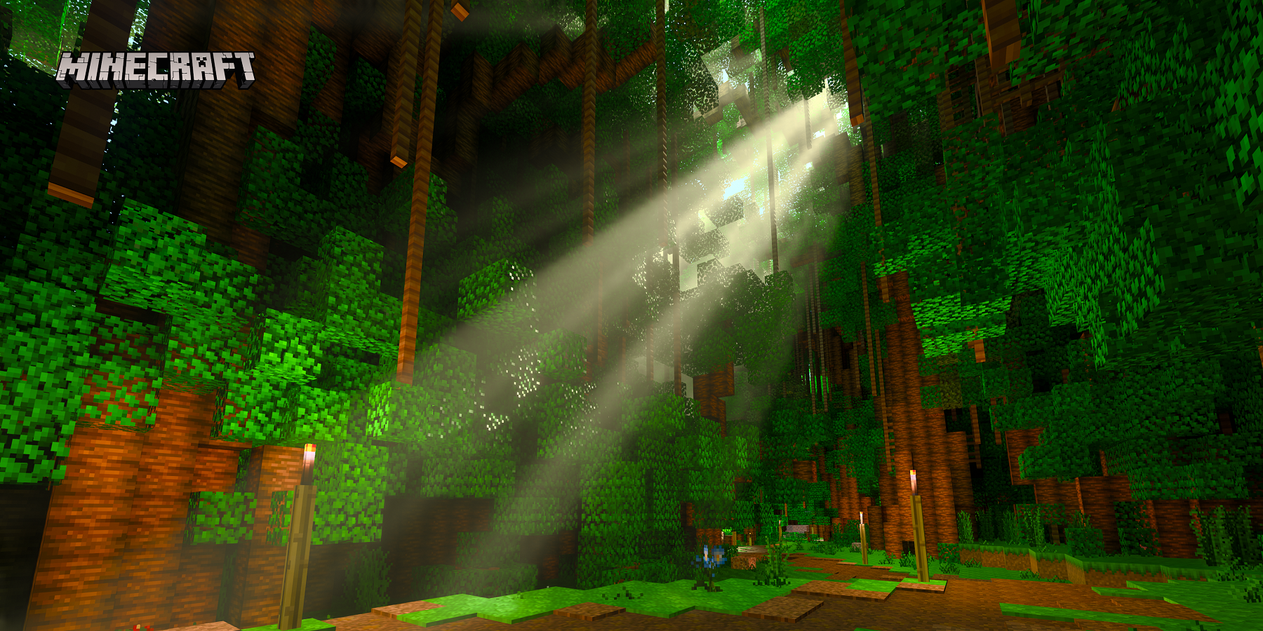 A screenshot from Minecraft showing a shaft of light beaming into a forest.