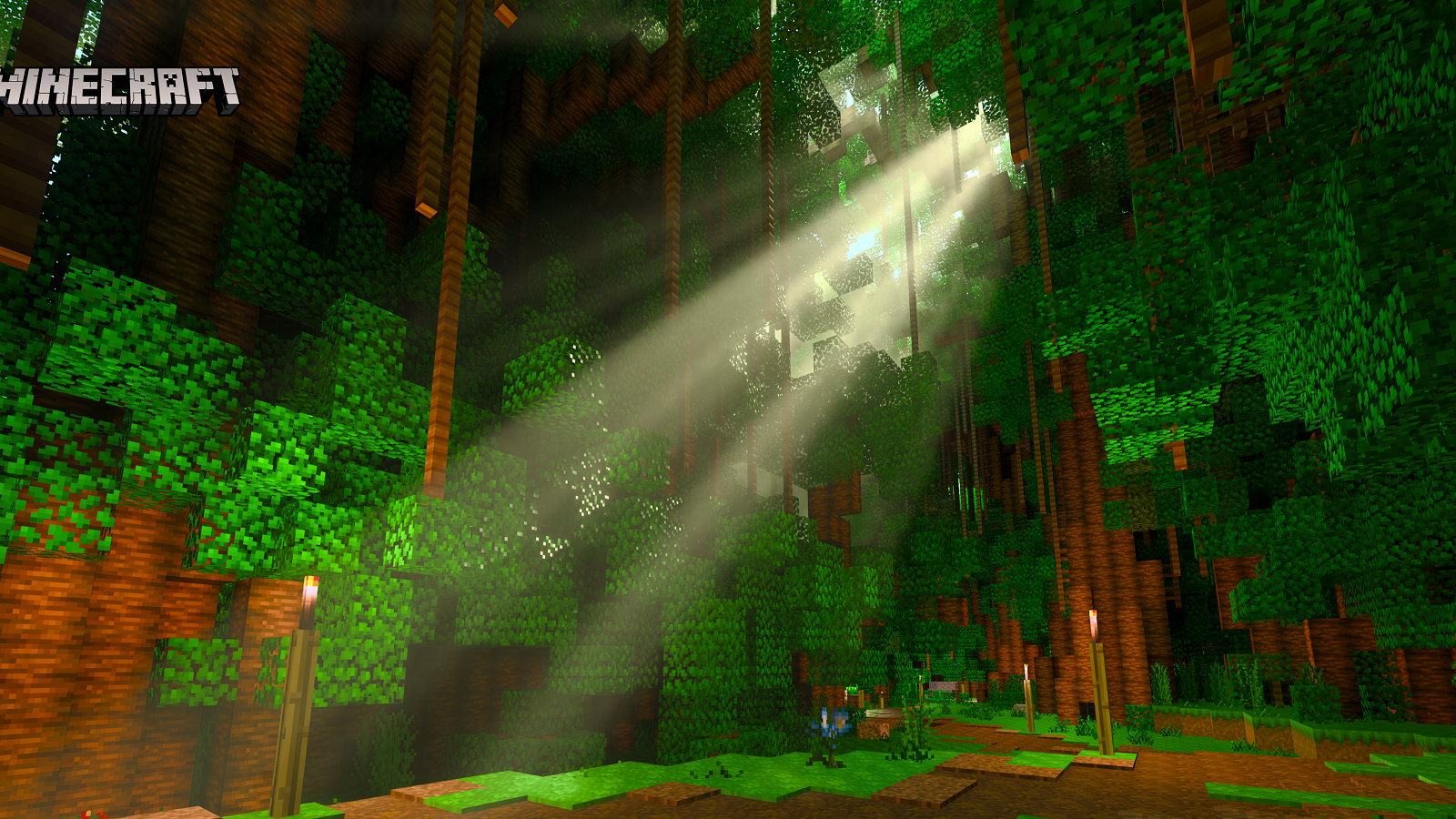 A screenshot from Minecraft showing a shaft of light beaming into a forest.