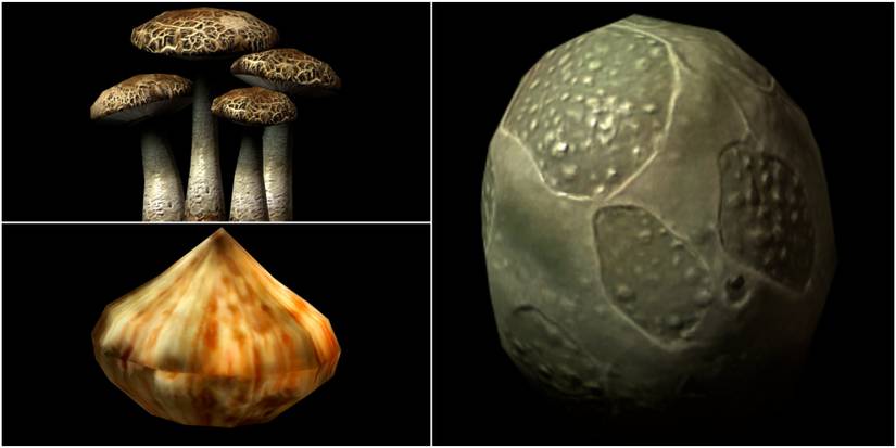 Namira's Rot, Garlic, Slaughterfish Egg