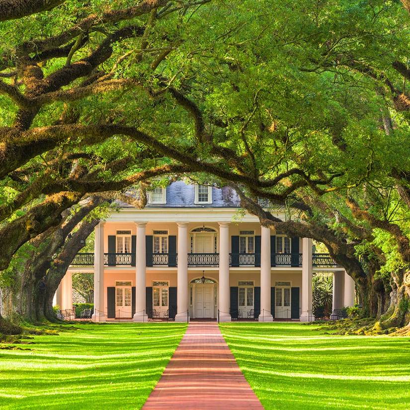 oak alley plantation