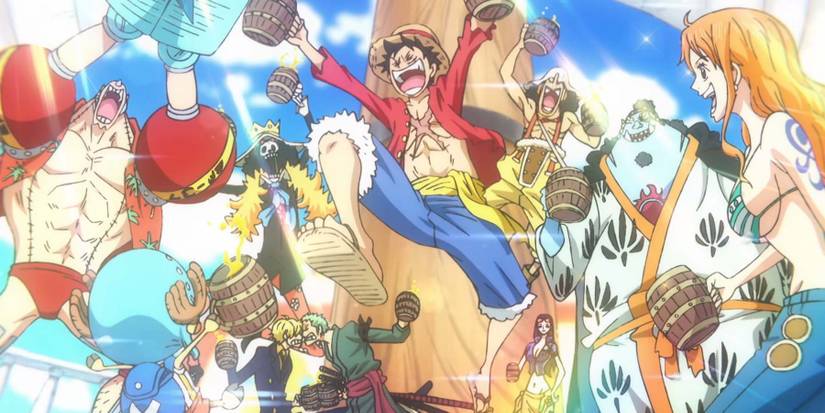 one piece straw hats anime we are one
