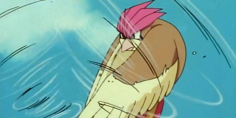 pidgeotto-gust-attack