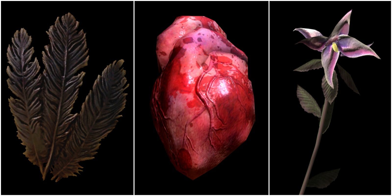 hagraven feathers, human heart, nightshade