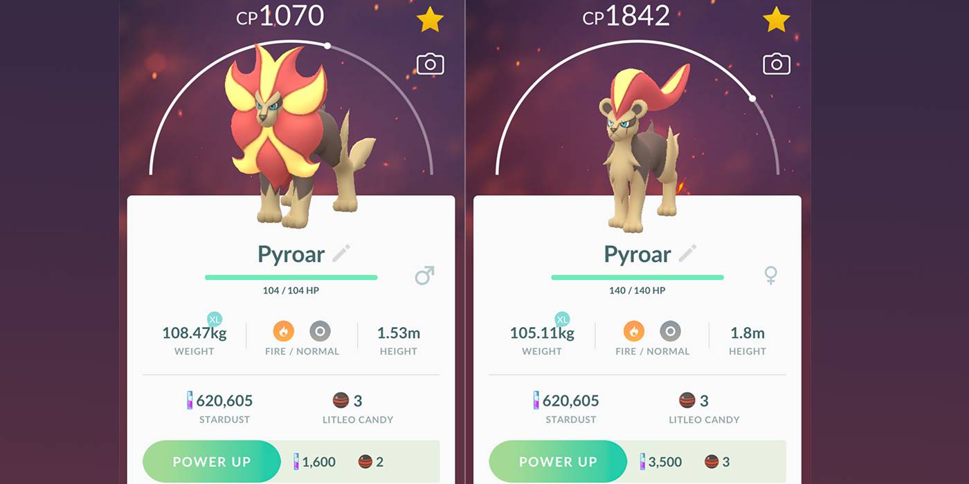 Pokemon litleo evolution chart