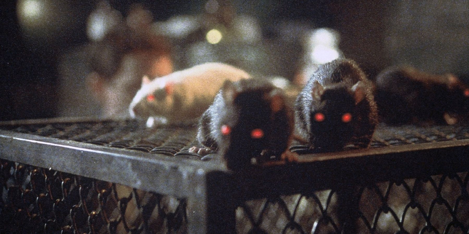 rats night of terror rats
