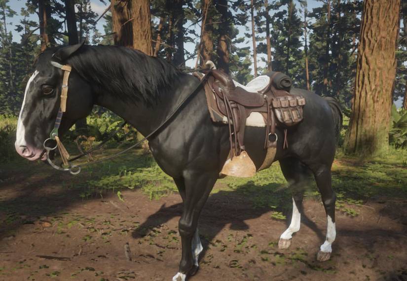 red dead redemption 2 baylock