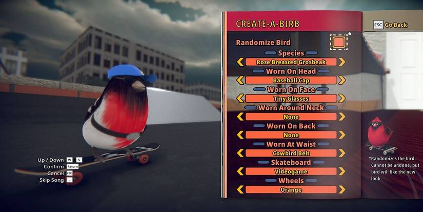 Skatebird customization screen