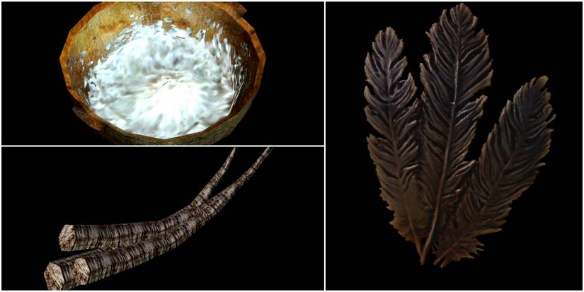 salt pile, trama root, hagraven feathers