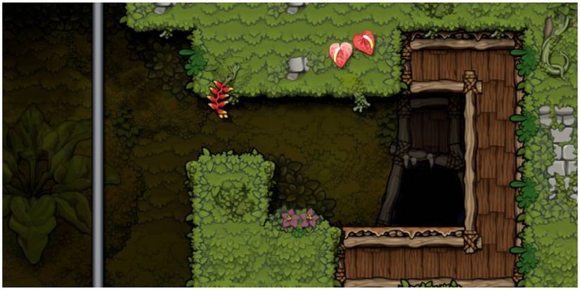 spelunky 2 sparrow spawn location jungle area