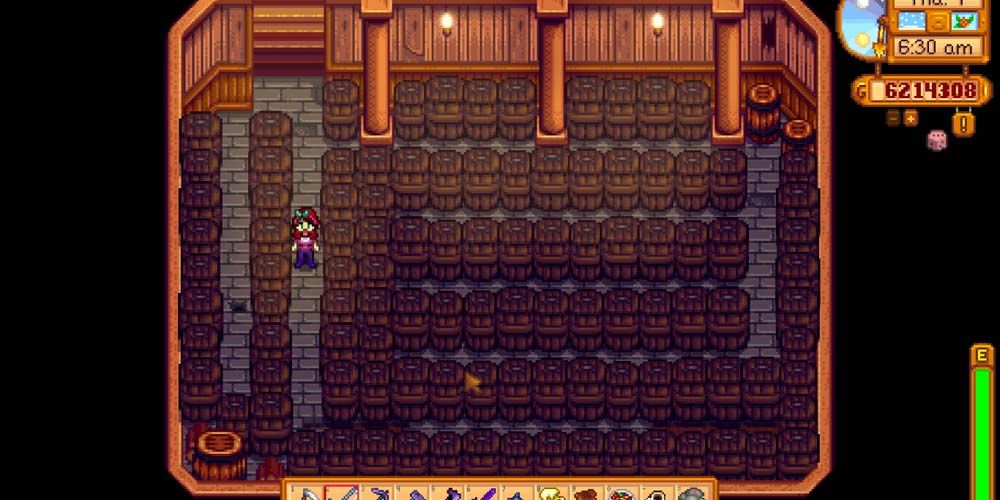 stardew valley house