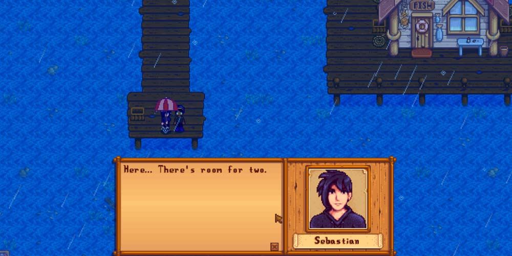 stardew valley sebastian