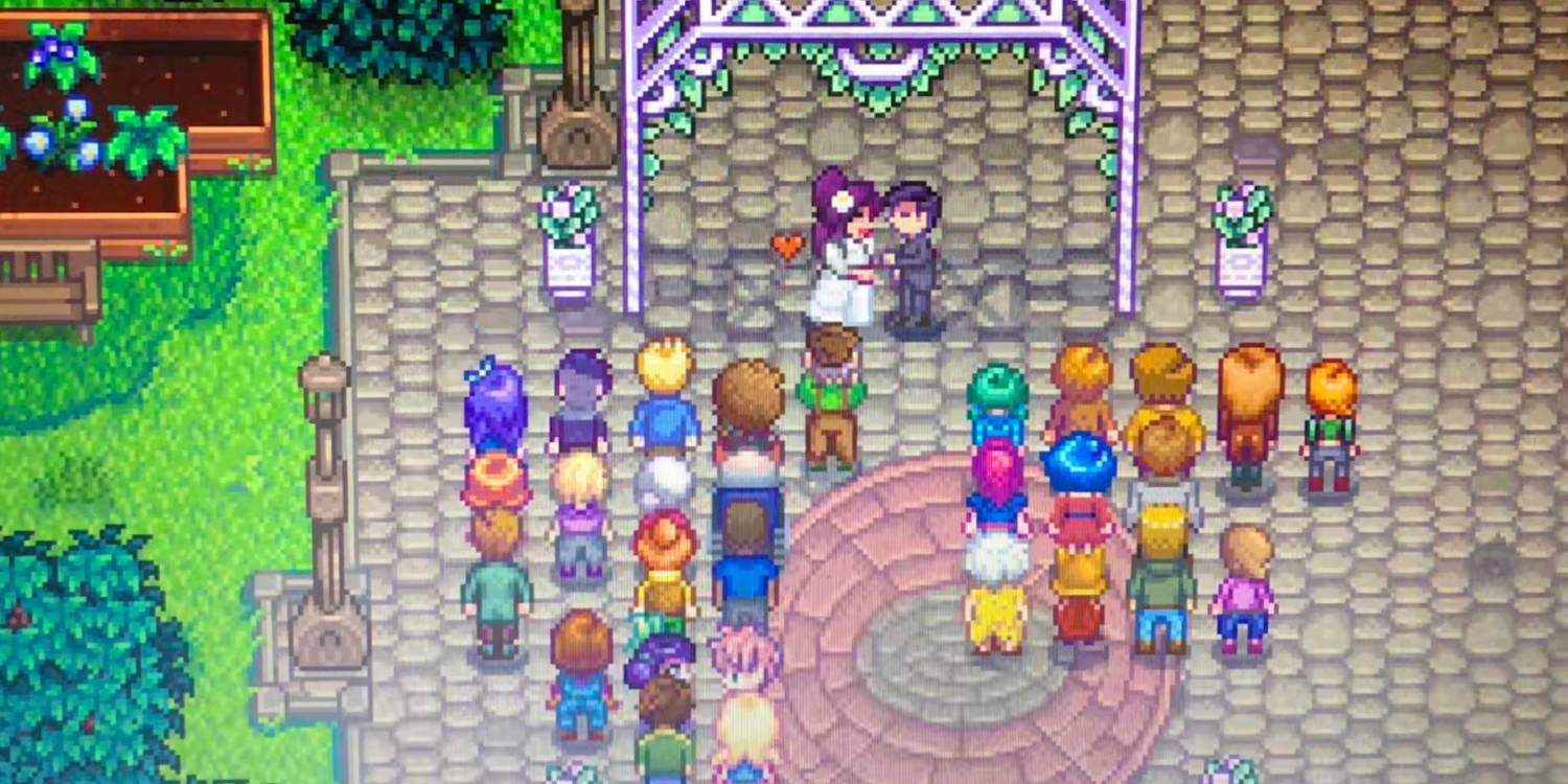 stardew-valley-wedding.jpg (1500×750)