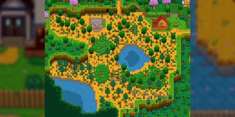 stardew valley wilderness farm map