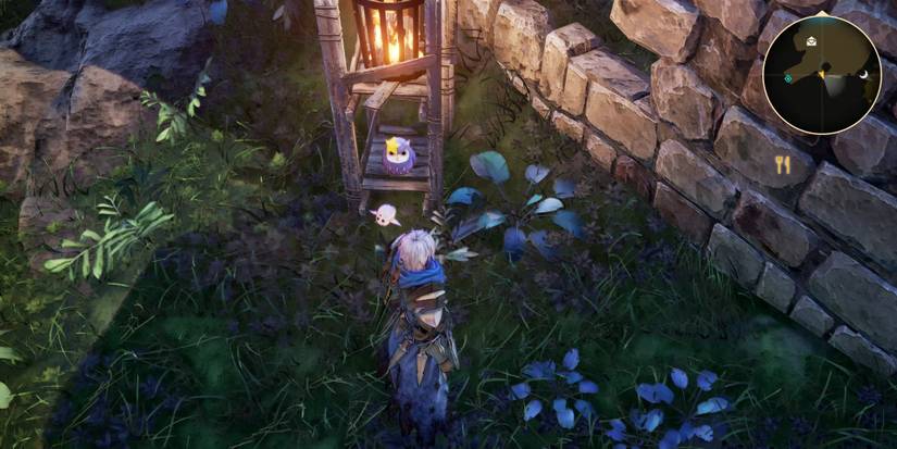 tales-of-arise-owl-28-location