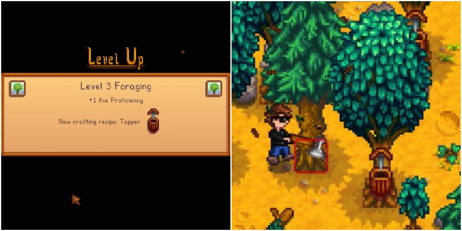 left: learning the tapper recipe; right: tapper on a tree