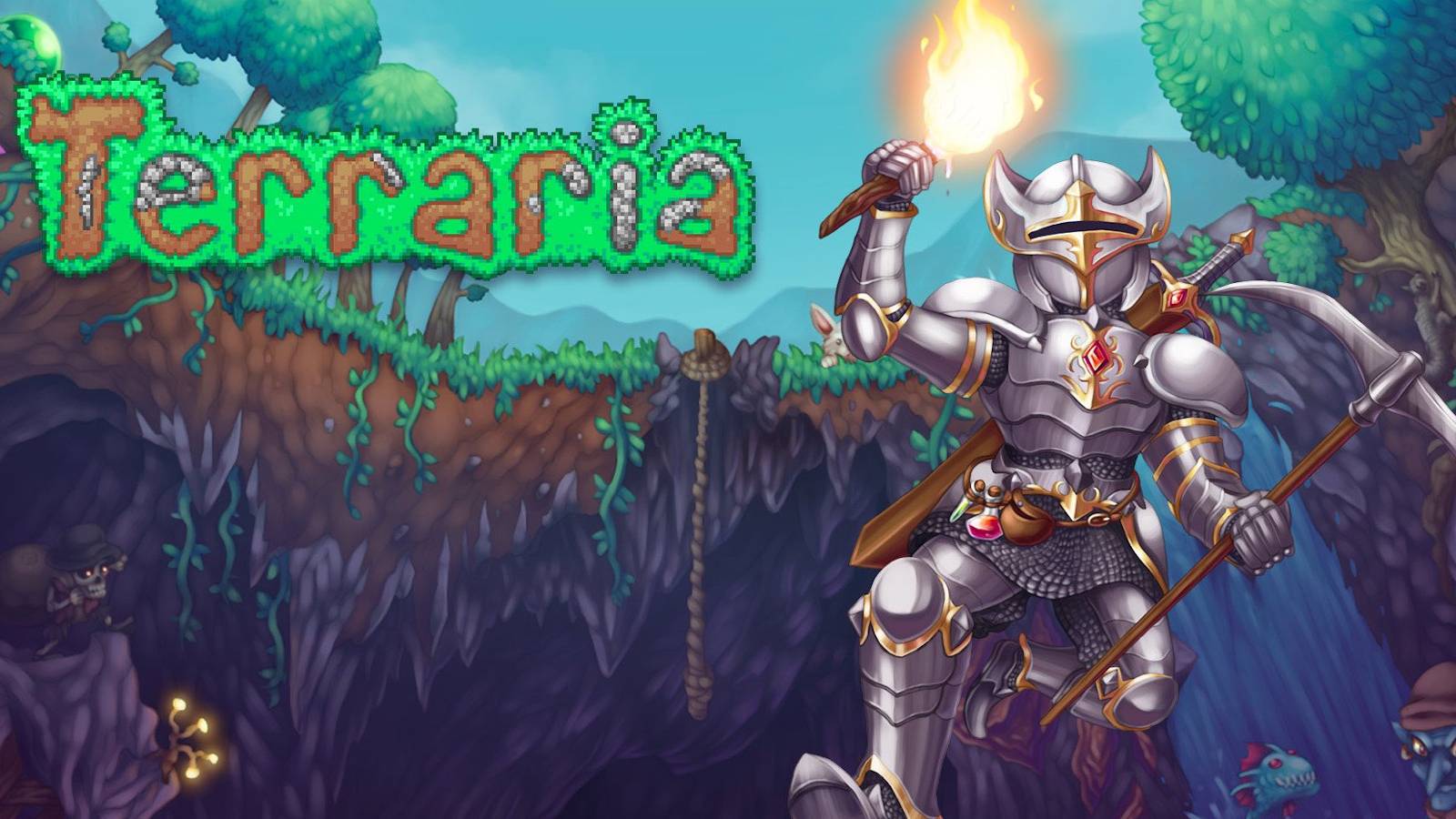 terraria zoom in console