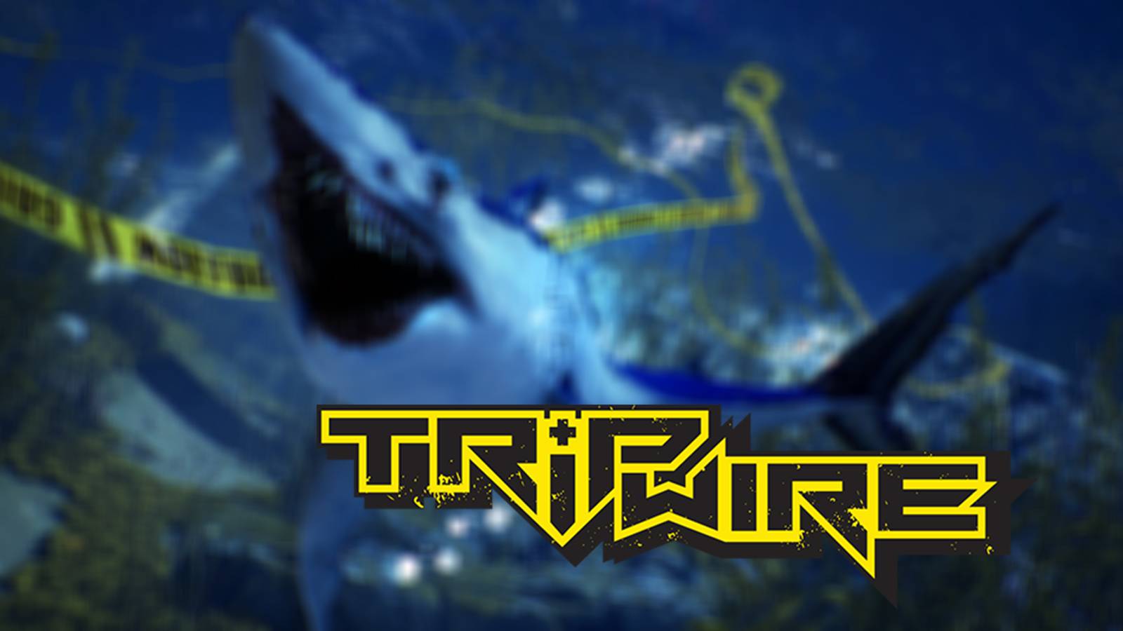 tripwire interactive ceo stepping down texas abortion law