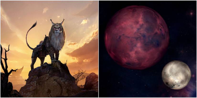 Types of Khajiit Senche Elder Scrolls