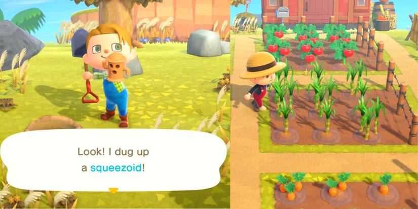 Animal Crossing New Horizons Gyroids And Farm Land