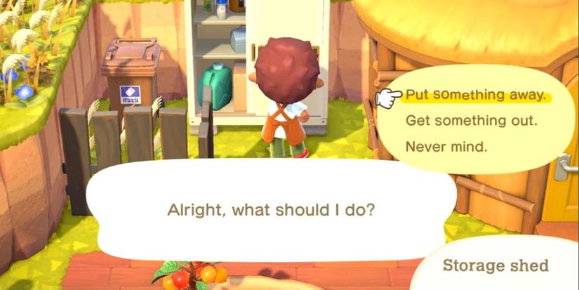 Animal Crossing New Horizons Storage Shed
