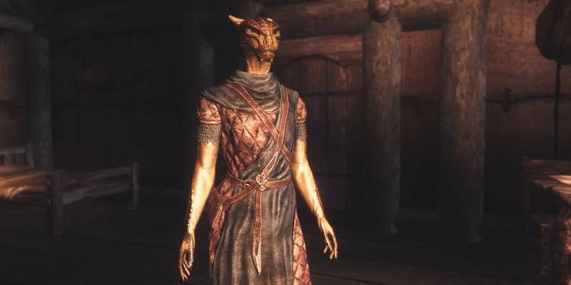 Argonian Skyrim Best Mods Addons Breastless Females