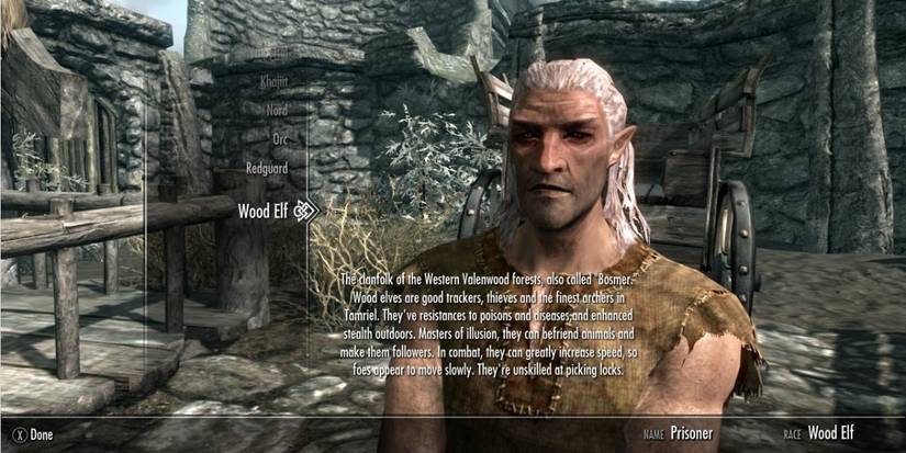 Bosmer Wood Elf Skyrim Best Mods Addons Amazing Race Tweaks