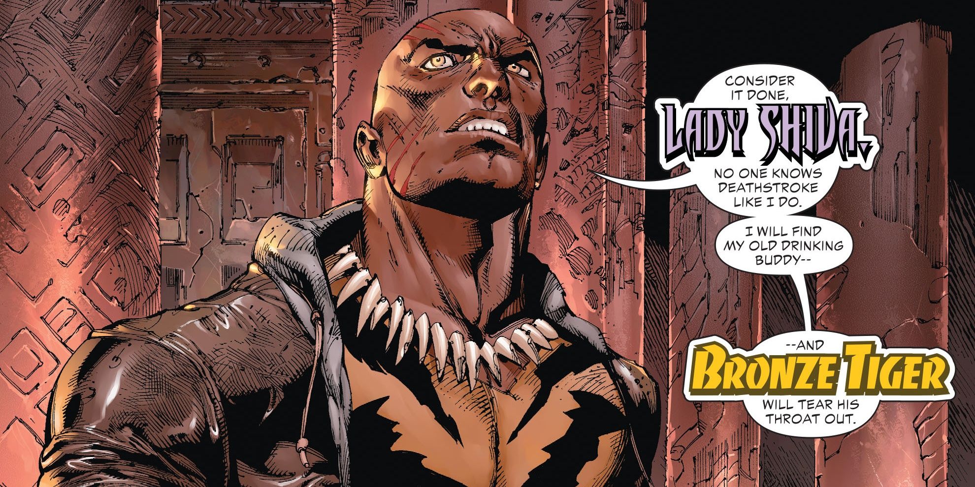 Bronze Tiger in DC Comics