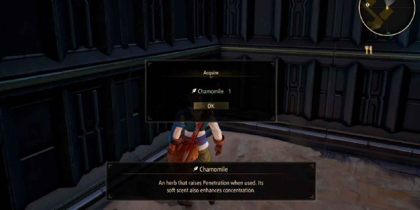 Finding the consumable item Chamomile in Tales of Arise