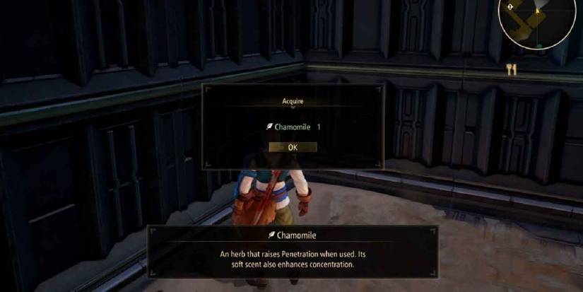 Finding the consumable item Chamomile in Tales of Arise