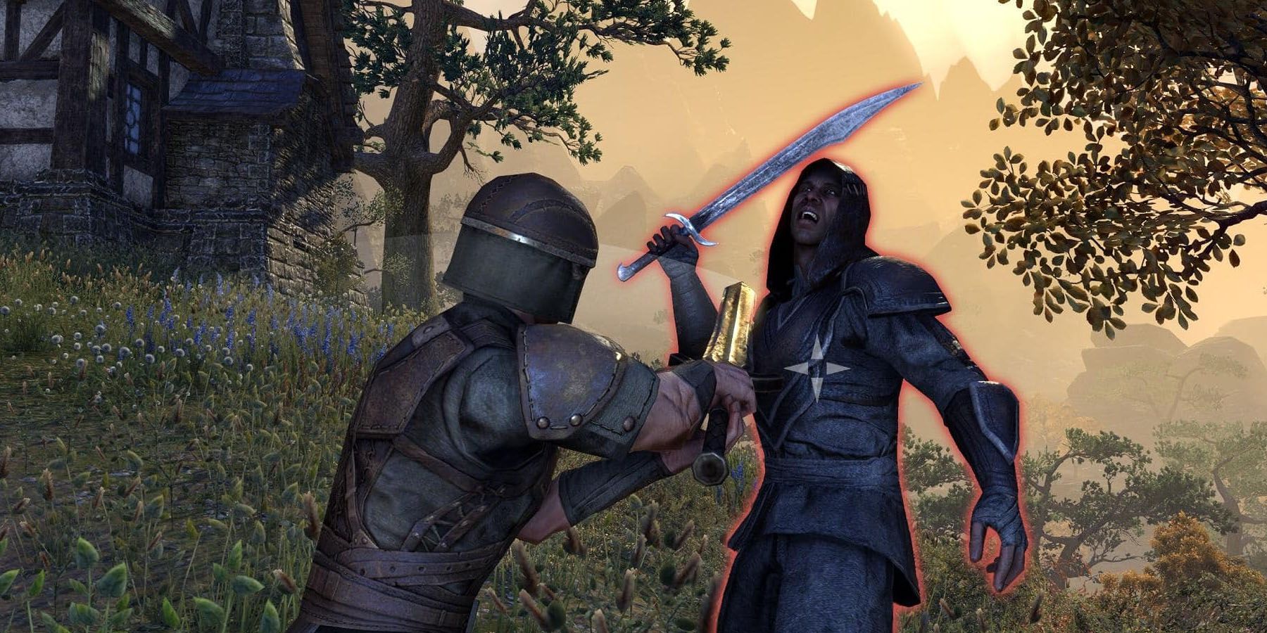 Combat in Elder Scrolls Online