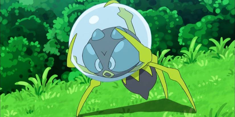 Dewpider in the anime